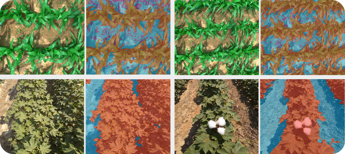 Crop & Weed Detection Model